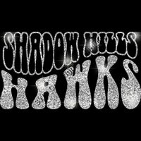 GLT98 SILVER GLITTER Thumbnail