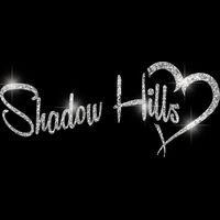 GLT6 SILVER GLITTER Thumbnail